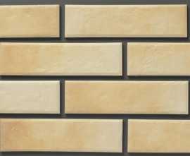 Клинкерная плитка BestPoint Ceramics Salt 24.5x6.5 8мм