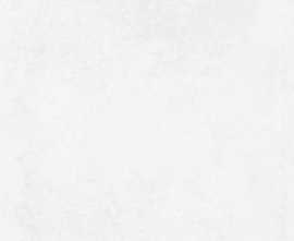 Керамогранит Laparet Betonica Blanco PRO светло-серый матовый R12Soft 60х60