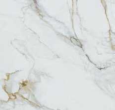 Керамогранит PrimaVera MG205 Olga Gold Matt Granula 60x120