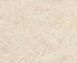 Керамогранит Pamesa 004.869.0001.14164 Taj Mahal Polished Rect 60x120