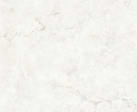 Керамогранит Ecoceramic Samoa Polimat 120x120