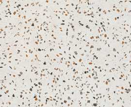 Керамогранит Pamesa 017.840.0056.14634 Terrazzo Terra 60x60