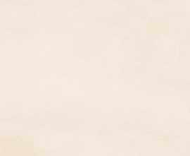 Керамогранит ERGON ELNC Pigmento Crema Nat R9 Rett 120x278
