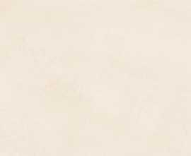 Керамогранит ERGON ELNM Pigmento Crema Silktech R10 Rett 120x120