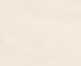 Керамогранит ERGON ELNV Pigmento Crema Silktech R10 Rett 60x120