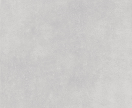 Керамогранит Ocean-Ceramic Millenium Light Gray Matt 60х60