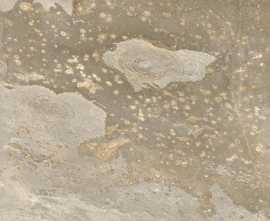 Керамогранит New Tiles Bali Sand In&Out 60x60