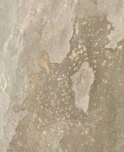 Керамогранит New Tiles Bali Sand In&Out 60x120