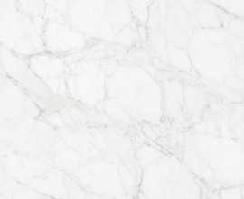 Керамогранит Neodom N12045 Carrara Giaola Polished 60x120