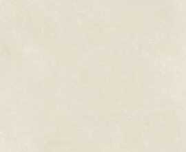 Керамогранит Stiles Ceramic Tekny Bone M 60x120