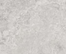 Керамогранит Monocibec 141142 Mythology Regia Silver Brushed Rect 60x120