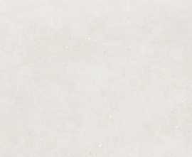 Керамогранит Rocersa Mixtone White Matt RC 60x120