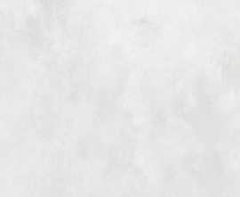 Керамогранит Neodom N12043 Concrete White Matt 120x120