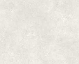 Керамогранит Dado Ceramica 304332 Serica Bone Rett 120x120