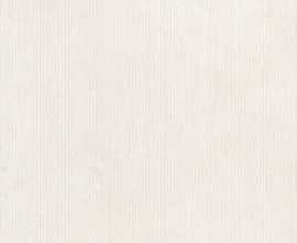Керамогранит Dado Ceramica 304282 Serica Rigatino Bone Rett 60x120