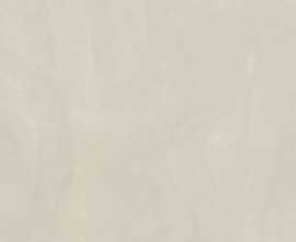 Керамогранит Dado Ceramica 005846 Walk Ivory Rett 120x120