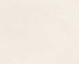 Керамогранит Artkera Group GP36FLG01 Flagman Crema матовый 300x600x8