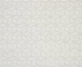Декор STN Ceramica CAN5DAMAPDOA Dama Pearl Decor MT 60x120