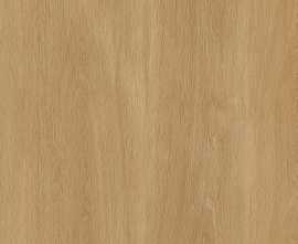 Керамогранит Protiles PT12F7041 Albero Beige Matt 1200х600х9