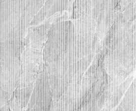 Декор Arcadia Ceramica CR4009-D Bolivia Dove Decor Carving Punch 60x120