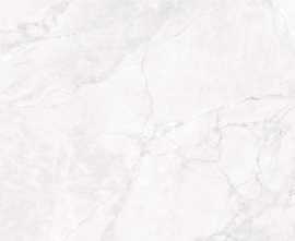 Керамогранит Arcadia Ceramica CR4007-A Arctic White Carving 60x120