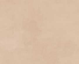Керамогранит Buono Ceramica CVL4497M Clayton Colori Dust Matt 60x120