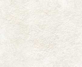 Плитка Alma Ceramica TWU3090GAR04R Garden матовая 300x900x8.5