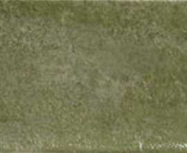 Плитка Mainzu Village Palms 10x30