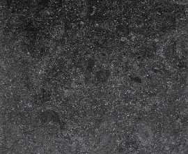 Керамогранит LandDecor Fossil Nero 20mm 60x60
