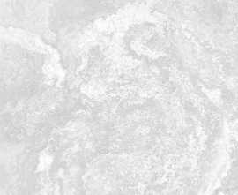 Керамогранит Global Tile GT1206020306LGR Clementi Светло-серый лаппатированный 60x120