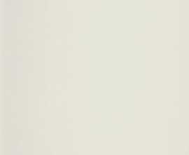 Керамогранит Laminam Russia LAMF009819 Solo Bianco 5 1000x3000