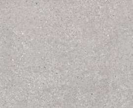 Керамогранит Argenta San Vicente Natural Matt 60x120