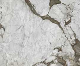 Керамогранит Ceramiche Piemme 06102 Calacatta Iron Satin/Ret 120x280