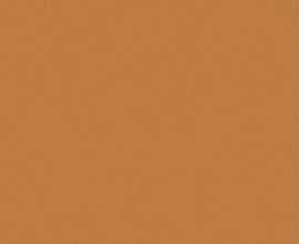 Керамогранит Janye Slab JS6022P Sunchine Orange Matt 120x280
