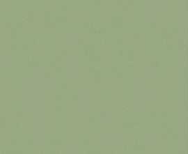 Керамогранит Janye Slab JS6024P Pine Green Matt 120x280