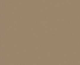 Керамогранит Janye Slab JS6025P Ceramic Color Matt 120x280
