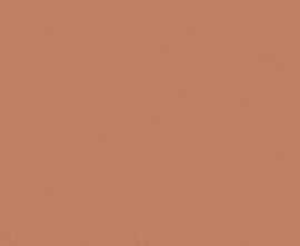 Керамогранит Janye Slab JS6021P Arcilla Red Matt 120x280