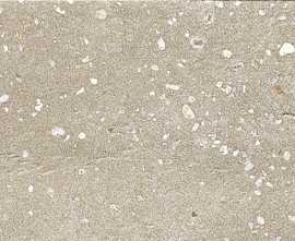 Керамогранит Harmony 42882 Trace Taupe Plain 6x30