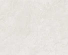 Керамогранит Terramic Tiles TR61226T Aurora Whisper Карвинг матовая 60x120