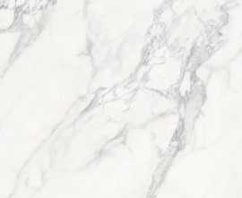 Керамогранит Terramic Tiles TR61206T Arctic Veil Карвинг матовая 60x120
