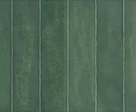 Плитка Керлайф Carnaval Verde 31.5x63