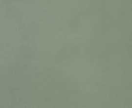 Плитка FAP Ceramiche fTOJ Materia Brillante Bosco Brillante RT 50x120