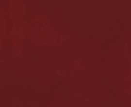 Плитка FAP Ceramiche fTOI Materia Brillante Borgogna Brillante RT 50x120