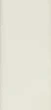 Плитка Wow 139376 Nouvelle Talc Matt 3x16